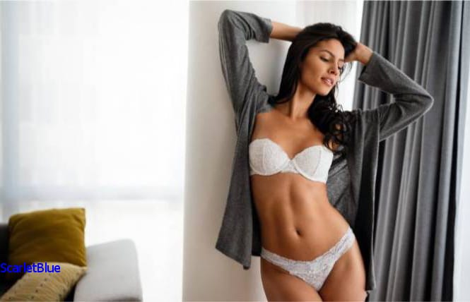 Discovering Quality Brisbane Companions